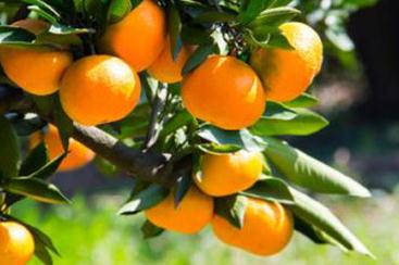 �̽�������Ҏ�����Լ��̽�����ʩ�ʼ���