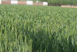 ʲô��̼����@��ʩ��̼����@ע�����