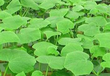 �߲˞�β����l��ʹ��ˮ�ܷ����l��ʹ��ˮ�ܷʵ�Σ��