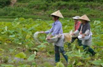 ���@��ʲô���ã��������ʩ���@���g��