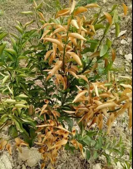 ʩ�ʲ������ܽ^�����꣡�@�ɴ�ʩ��Ҫ�cһ��Ҫע�⣡