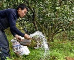 �����c�r(n��ng)�ҷʻ������Щ��̎�����߻��õ���Ҫ��