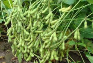 ���ն���߲�ʩ���P�I�ڣ����ն���߲�ʩ��ԭ�t