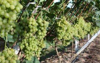 �������ʩ���ʣ�����ʩ���ʵ�Ҫ�c����Щ��