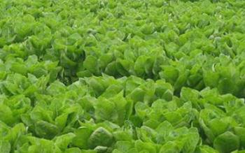 �紺��ʩ������Ҫע��ʲô���紺��ʩ���ʵ����N����