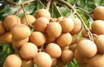 ����ʩ��Ҫע��Ć��}���������ۘ�ʩ�ʼ��g(sh��)