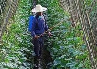 �㌦�~����˽���٣��~���ʩ��ע�����