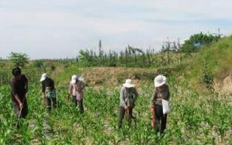 ⛷���ʲô���ã�ʩ��⛷�ע���������Щ��