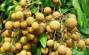 ���ۘ�ʩ����ʲô���ɣ��������ۘ�ʩ�ʼ��g