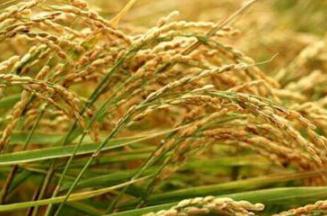 ˮ����(y��ng)��ʩ���ʣ�ˮ��ʩ�����^����(d��o)�µ�Σ����