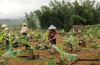 �㽶�@��ʩ�������˽���٣��㽶ʩ��ԭ�t