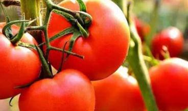 ���t��ʩ�����������ʲô���ã�