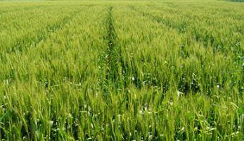 �����s����η�����Ч�������s�ݷ��μ���