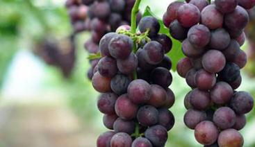 ������ôʩ�ʮa(ch��n)���ߣ�����ʩ�ʕr(sh��)�g������