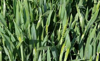 2019��С��ʲô�r��׷�ʱ��^�ã�