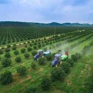 ������⛹�����ˏ���s�������`�⣬��鲻��������ԭ����