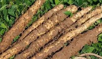 ɽˎ�߮aʩ�ʼ��g