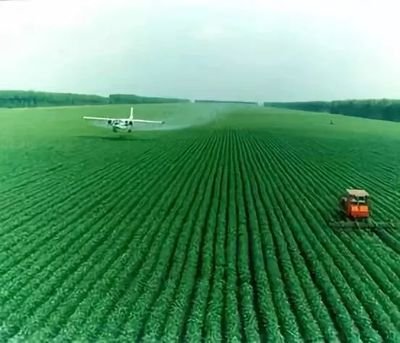 ˮ���Nֲʩ���^��Σ���󣬌��ҽ���ƌWʩ�ʣ�