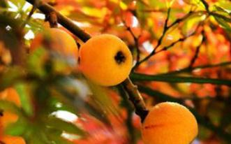 �W���@�ӽo�����ʩ�ʼ��g���������Ӯa����