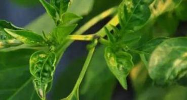 ��νo����˶�ʩ����