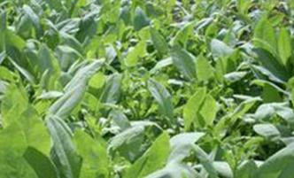 ʩ��ˮ���Է��ϵ�ԭ�t�ͷ���