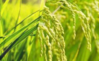 ˮ�����Ҏ����Σ�ˮ���߮aʩ��Ҫ�c