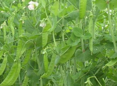 ���_����߲�������c�����趨��