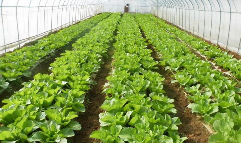 �����ЙC�ʵ�Ҫ������Щ�������ЙC�ʵĿƌWʩ�÷�