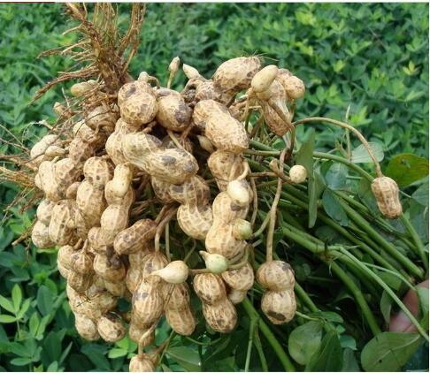 ������ʲô�x���_��ʣ�����ʩ�������ע�����