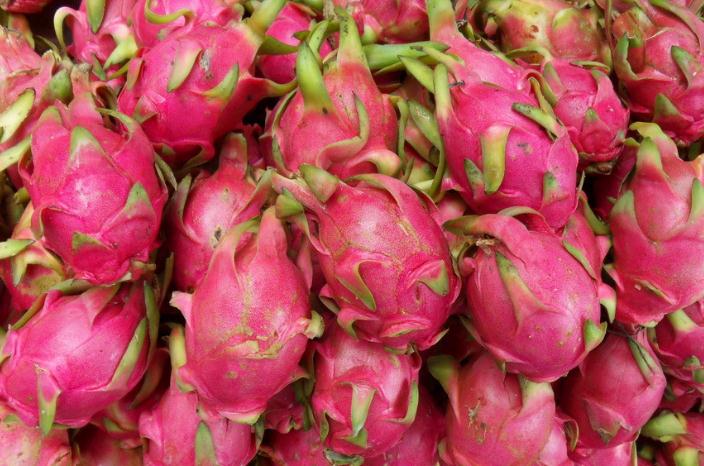 ��ΰ��ջ�����������ʩ������������ʩ�ʼ���