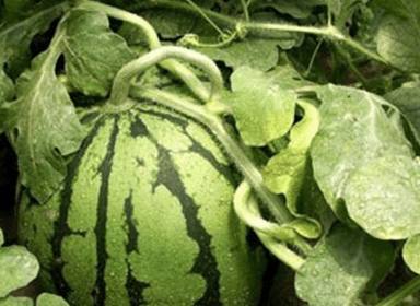 ���ӽo����׷ʩ��Ϸʣ��Լ�����׷ʩ�����ʼ���