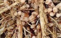 �P(gu��n)�ڸ�������֪������������ʹ�ø�����ʩ����