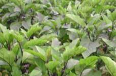 ����ϲ�����ͷʣ����ӵ���Ч�ƌW(xu��)ʩ�ʷ�