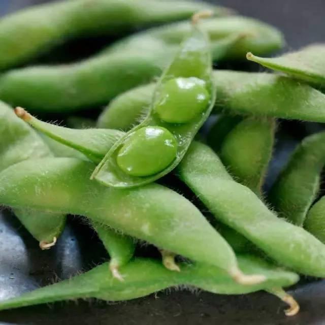 ë�������r�����ʩ�ʣ�ë������Чʩ�ʼ��g