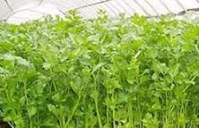 �۲ˌ�ʩ����ʲôҪ���۲�ʩ�ʵļ��gҪ�c