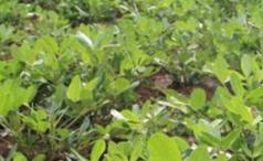 �����a(b��)���@Щ�~��ʣ������S��������p�a(ch��n)��