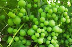 �~��ʇ�ʩ����ЩҪ�c(di��n)���~��ʇ�ʩ�r(sh��)�g��ʹ�ü���