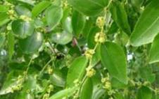 ӛס�@����ʩ�ʣ�׌��җ������M����