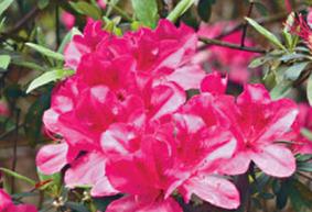 ���N��ʩʲô�ʺã����N���x��ʩ��ע�����