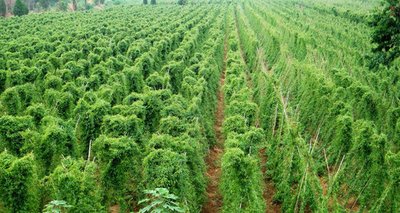 ��ɽˎ��ʩ���ЙC�ʕrҪע��ʲô��