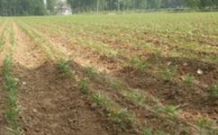 �ʺ����u������ԓ��β���������a�ȣ�