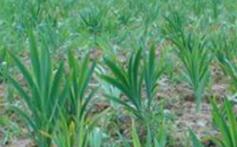 ��ˎ��ʩ�ʽ��ɣ�����Щ���ɣ��㶼�˽�᣿