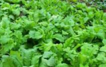 �r�ҷʺͻ��ʸ��Եă�ȱ�c����ʩ����������Щ��