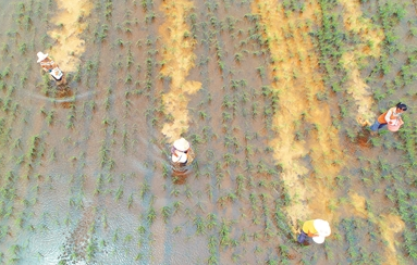 ˮ����Ҫ�߮a���Ǿ͵��@��ʩ�ʣ�