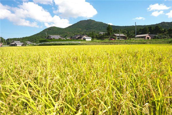 �������r�I�r�岿�l�����˲��ЙC��������ʼ��gָ����Ҋ