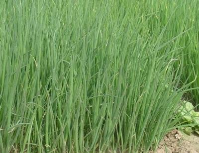 ��ߴ��[�a����ʩ�ʷ������@Щ���ɺ��P�I