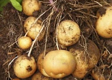 �R��������������νo�R���ʩ�ʣ�