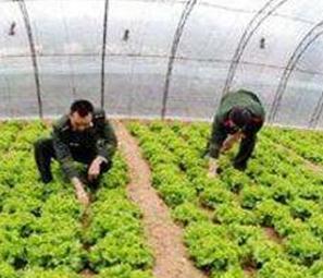 �_��ُ�ʣ���Ҫ֔����֔��������