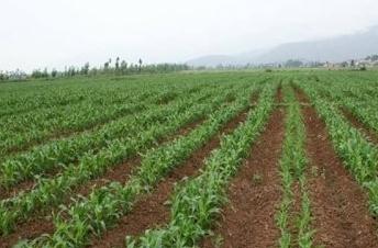 ��Ч���á����r�񡰵͡����l���l�����d����