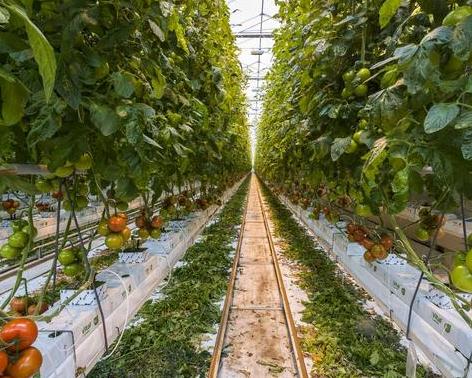 �����߲�ʩ���������@Щ���������a(ch��n)����